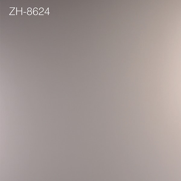 ZH-8624